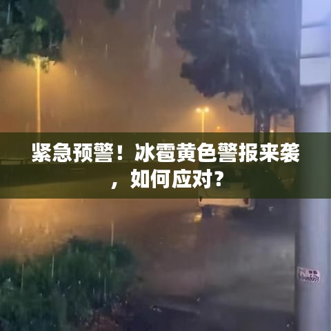 成功案例 第464页