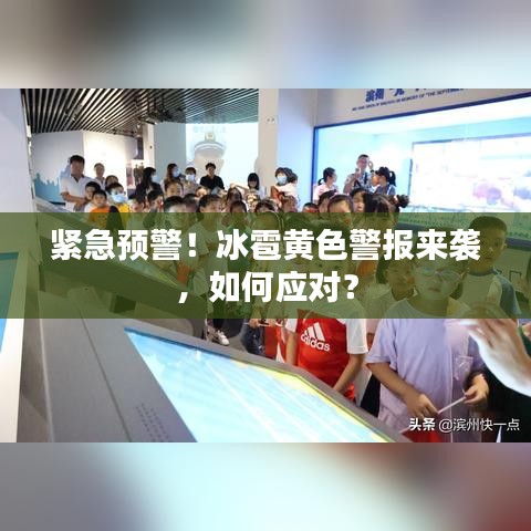 紧急预警!冰雹黄色警报来袭,如何应对?