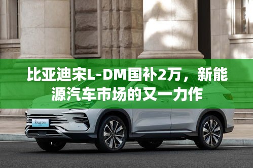 比亚迪宋L-DM国补2万,新能源汽车市场的又一力作