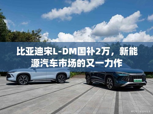 比亚迪宋L-DM国补2万,新能源汽车市场的又一力作