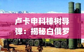 卢卡申科榛树导弹:揭秘白俄罗斯的秘密武器