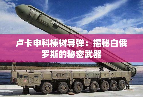 卢卡申科榛树导弹:揭秘白俄罗斯的秘密武器