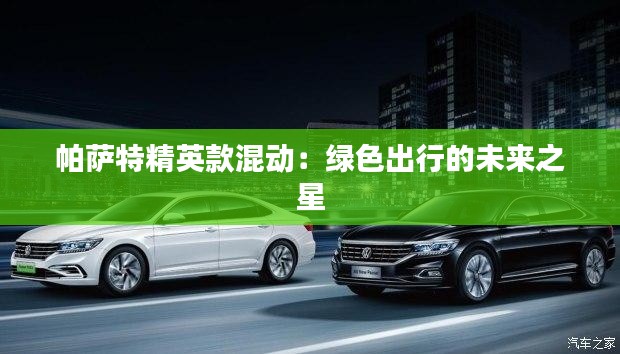 帕萨特精英款混动:绿色出行的未来之星