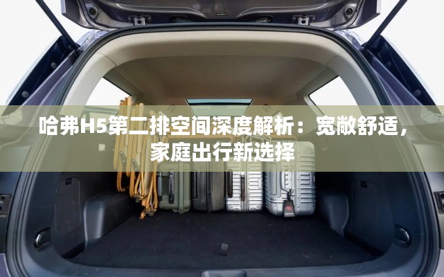 联系我们﻿﻿ 第453页