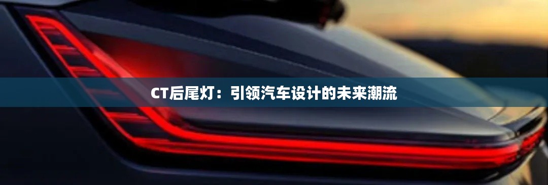 尽心竭力 第6页