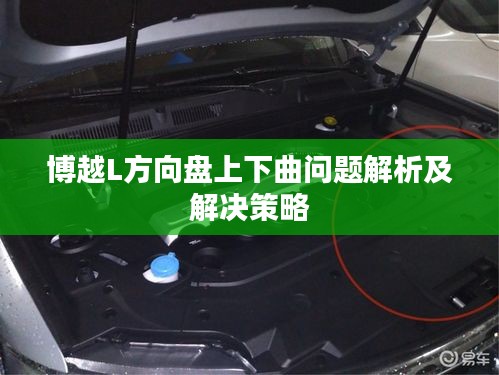 成功案例 第462页