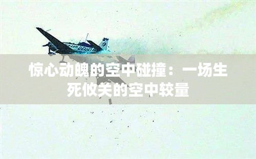惊心动魄的空中碰撞:一场生死攸关的空中较量