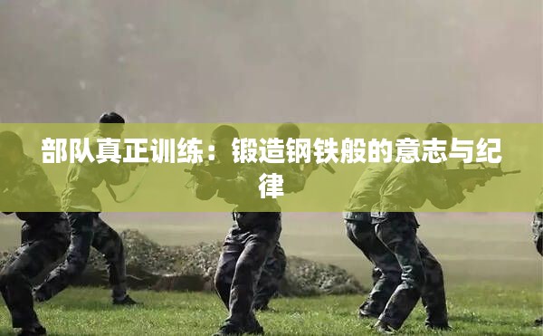 部队真正训练:锻造钢铁般的意志与纪律