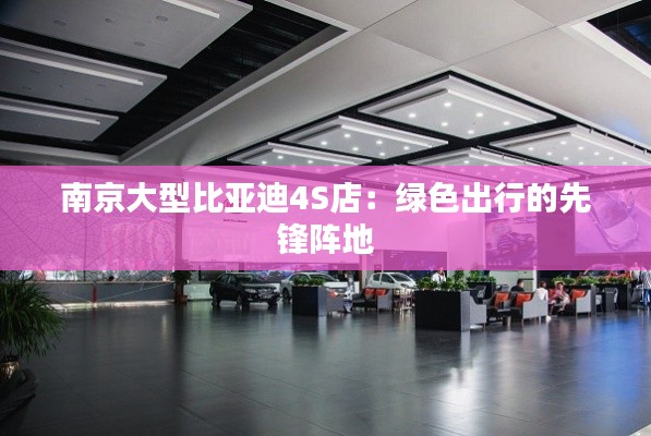 南京大型比亚迪4S店:绿色出行的先锋阵地