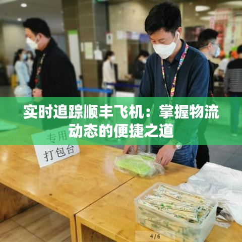 实时追踪顺丰飞机:掌握物流动态的便捷之道