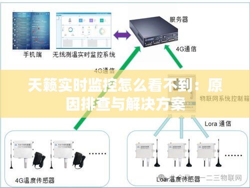 天籁实时监控怎么看不到:原因排查与解决方案