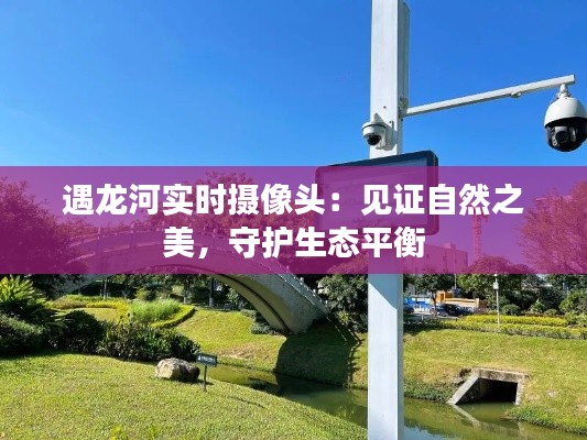 遇龙河实时摄像头:见证自然之美,守护生态平衡