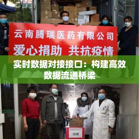 实时数据对接接口:构建高效数据流通桥梁