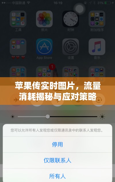 神清气朗 第5页