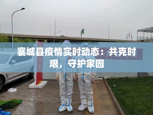 襄城县疫情实时动态：共克时艰，守护家园