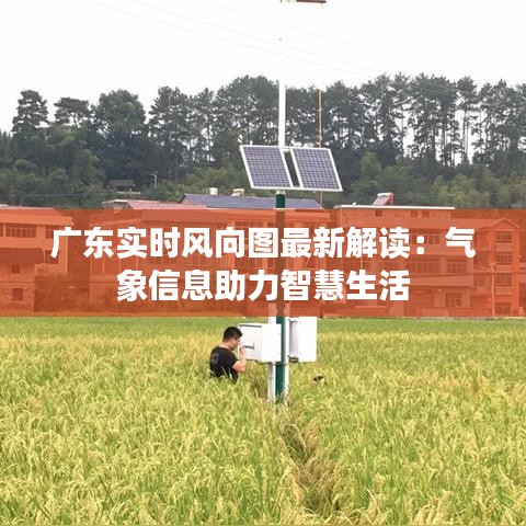 建站学院﻿﻿ 第454页