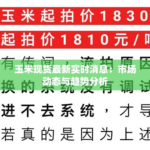 玉米现货最新实时消息:市场动态与趋势分析
