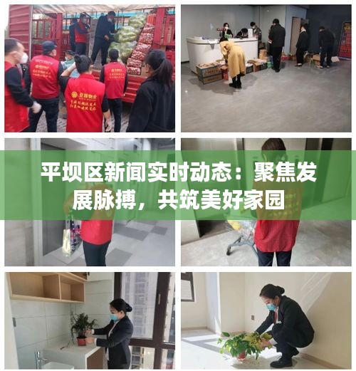 平坝区新闻实时动态:聚焦发展脉搏,共筑美好家园
