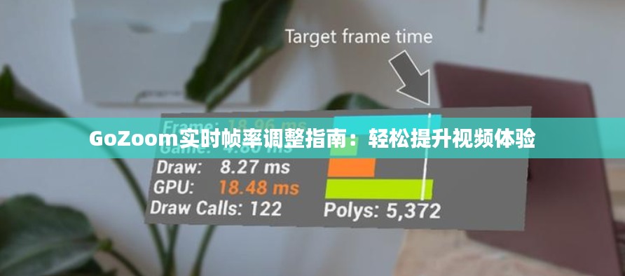 GoZoom实时帧率调整指南：轻松提升视频体验