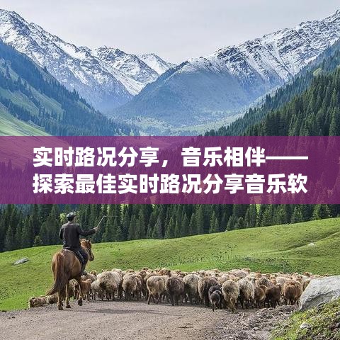 实时路况分享,音乐相伴——探索最佳实时路况分享音乐软件下载