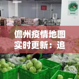 儋州疫情地图实时更新：追踪疫情，守护家园
