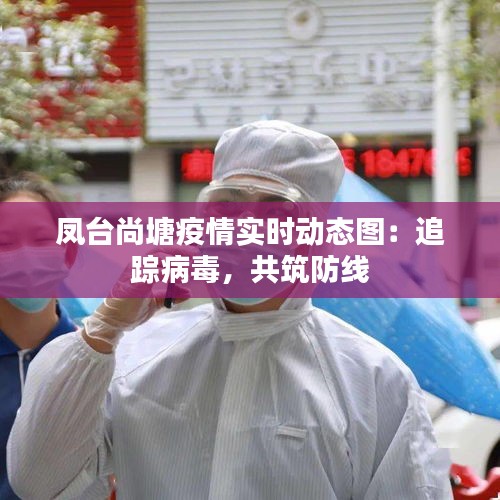 凤台尚塘疫情实时动态图:追踪病毒,共筑防线