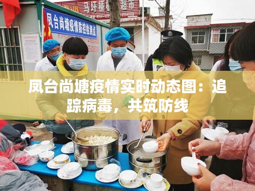 凤台尚塘疫情实时动态图:追踪病毒,共筑防线
