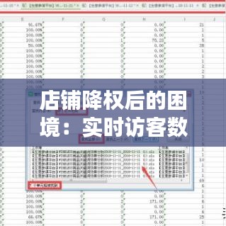 店铺降权后的困境:实时访客数据如何影响我们的应对策略