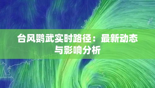 台风鹦武实时路径:最新动态与影响分析