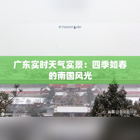 广东实时天气实景:四季如春的南国风光