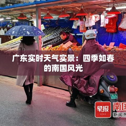 广东实时天气实景：四季如春的南国风光