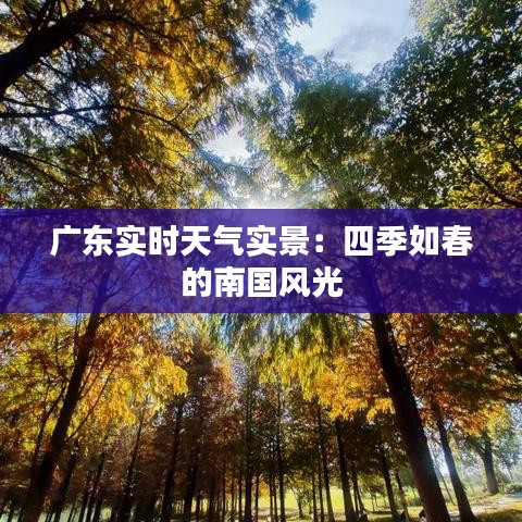 广东实时天气实景:四季如春的南国风光