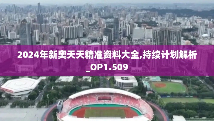 2024年新奥天天精准资料大全,持续计划解析_OP1.509