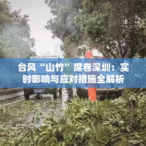 台风“山竹”席卷深圳:实时影响与应对措施全解析