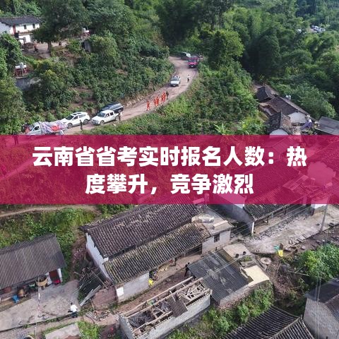 云南省省考实时报名人数：热度攀升，竞争激烈