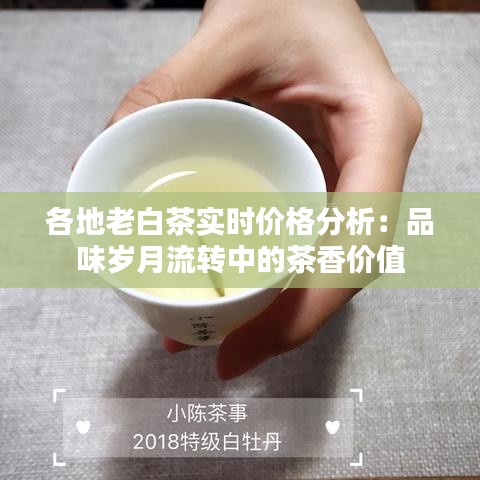 各地老白茶实时价格分析:品味岁月流转中的茶香价值