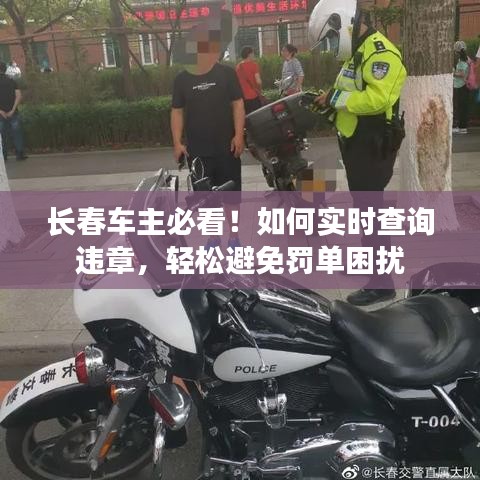 长春车主必看!如何实时查询违章,轻松避免罚单困扰