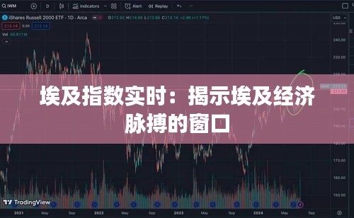 埃及指数实时:揭示埃及经济脉搏的窗口