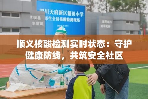顺义核酸检测实时状态：守护健康防线，共筑安全社区