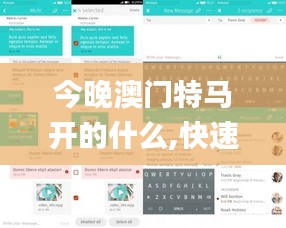 今晚澳门特马开的什么,快速问题设计方案_WearOS3.516
