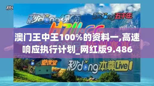 澳门王中王100%的资料一,高速响应执行计划_网红版9.486