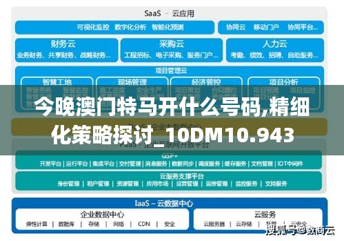 今晚澳门特马开什么号码,精细化策略探讨_10DM10.943