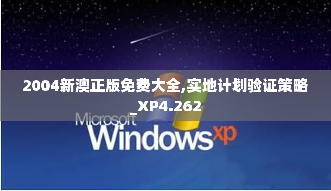 2004新澳正版免费大全,实地计划验证策略_XP4.262