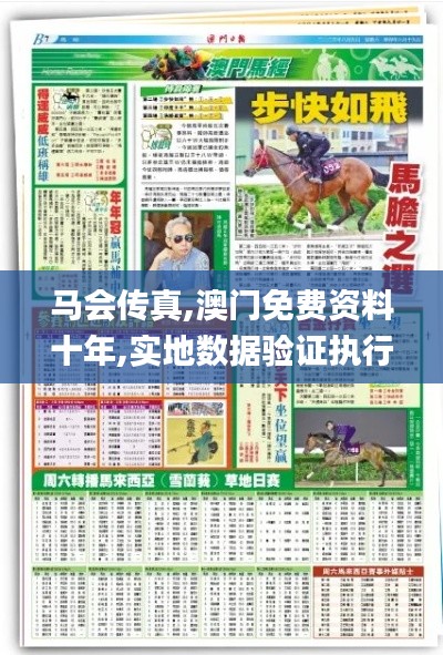 马会传真,澳门免费资料十年,实地数据验证执行_交互版6.402