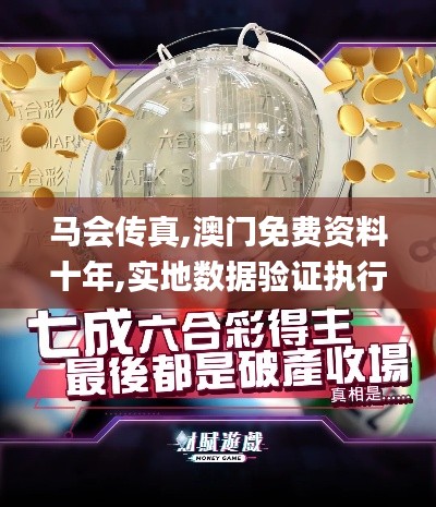 马会传真,澳门免费资料十年,实地数据验证执行_交互版6.402