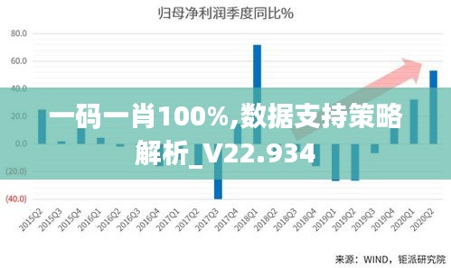 一码一肖100%,数据支持策略解析_V22.934