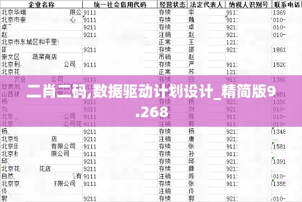 二肖二码,数据驱动计划设计_精简版9.268