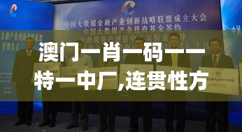 澳门一肖一码一一特一中厂,连贯性方法评估_创新版5.336