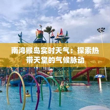 南湾猴岛实时天气:探索热带天堂的气候脉动