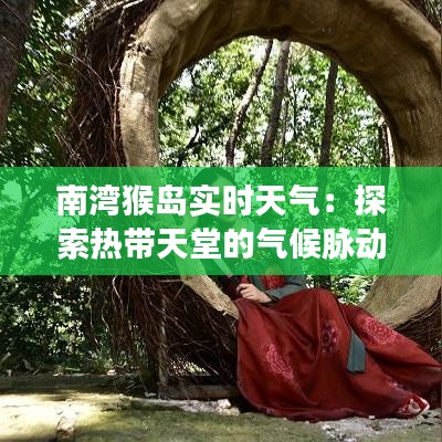 南湾猴岛实时天气:探索热带天堂的气候脉动